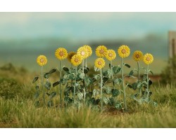 VG7-224 Sunflowers